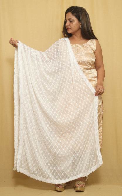 Dyeable Georgette Dupatta: Trendy Embroidery for Fashionistas - divyaindia 