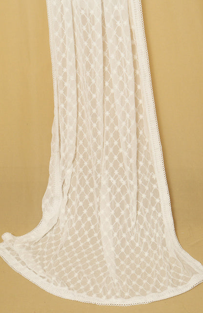 Dyeable Georgette Dupatta: Trendy Embroidery for Fashionistas - divyaindia 