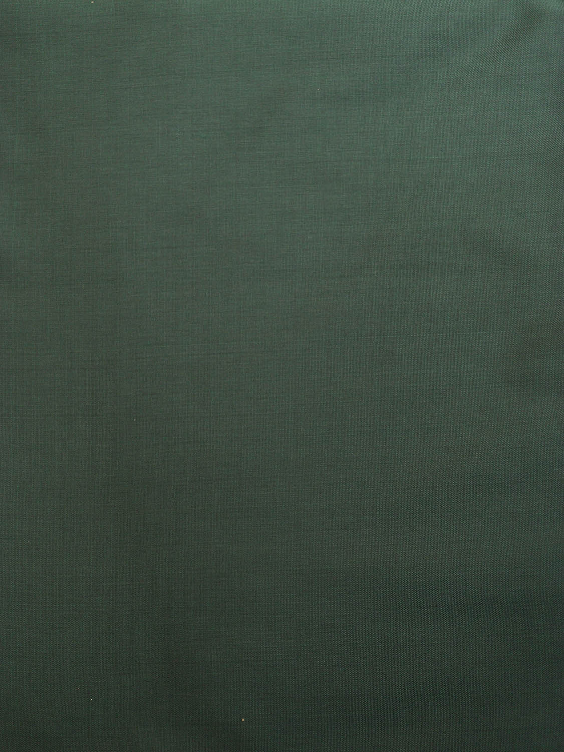 Green Plain Silk Fabric ( 1 Mtr ) - divyaindia 