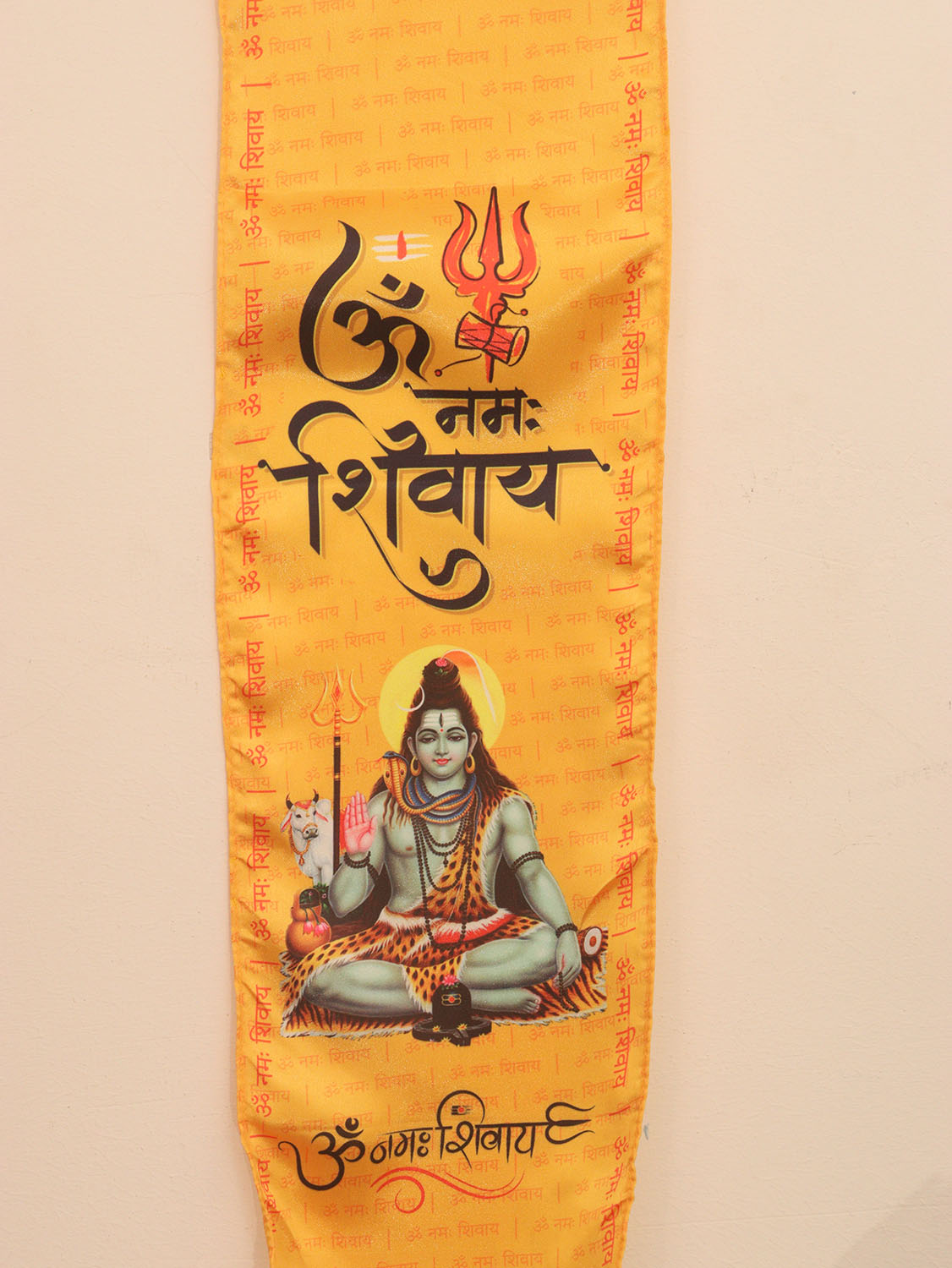 Divine Deity Shiva's Sacred Theft: Set of 10 Spiritual Treasures ( Set Of 10 )
