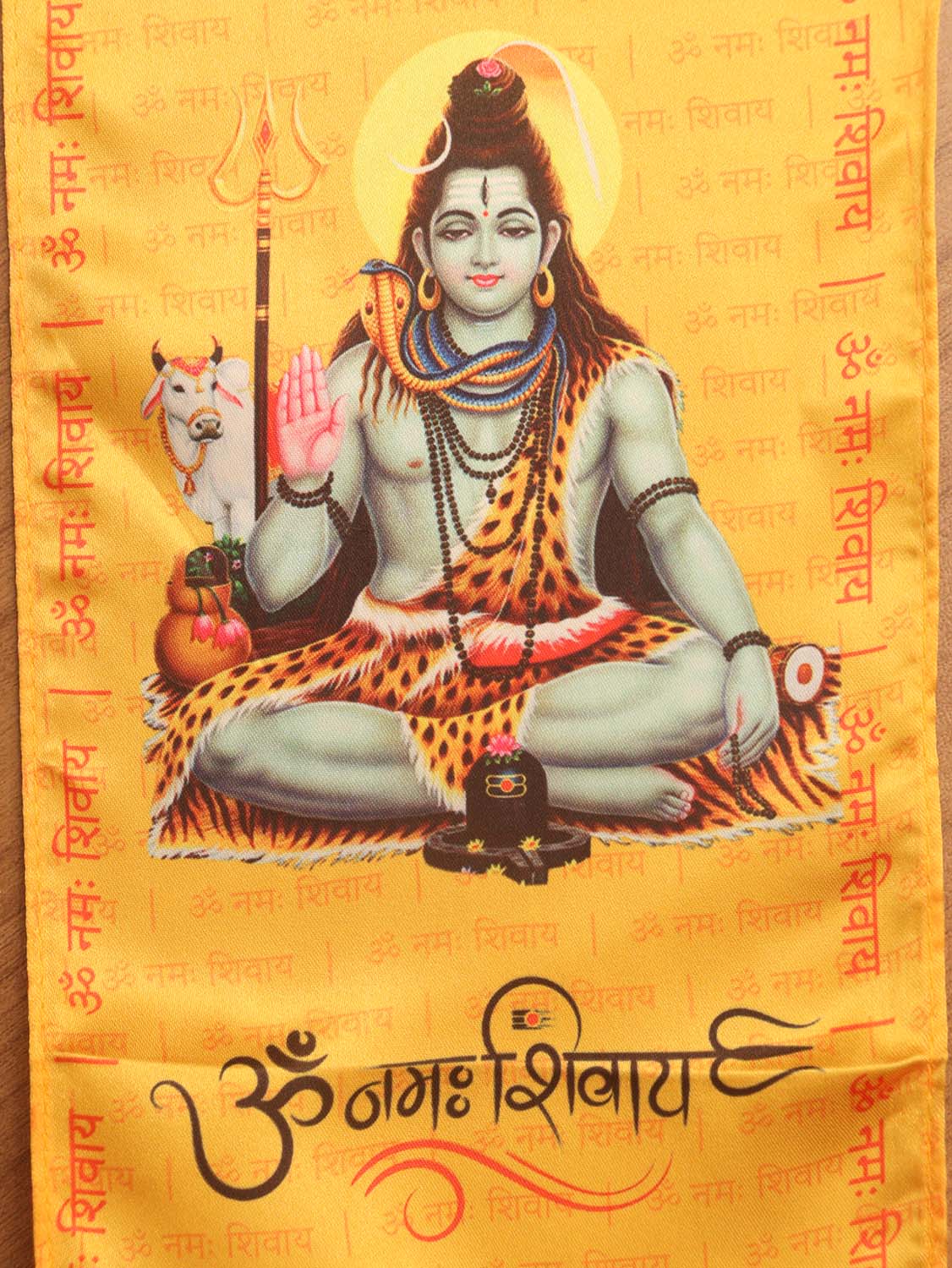 Divine Deity Shiva's Sacred Theft: Set of 10 Spiritual Treasures ( Set Of 10 )